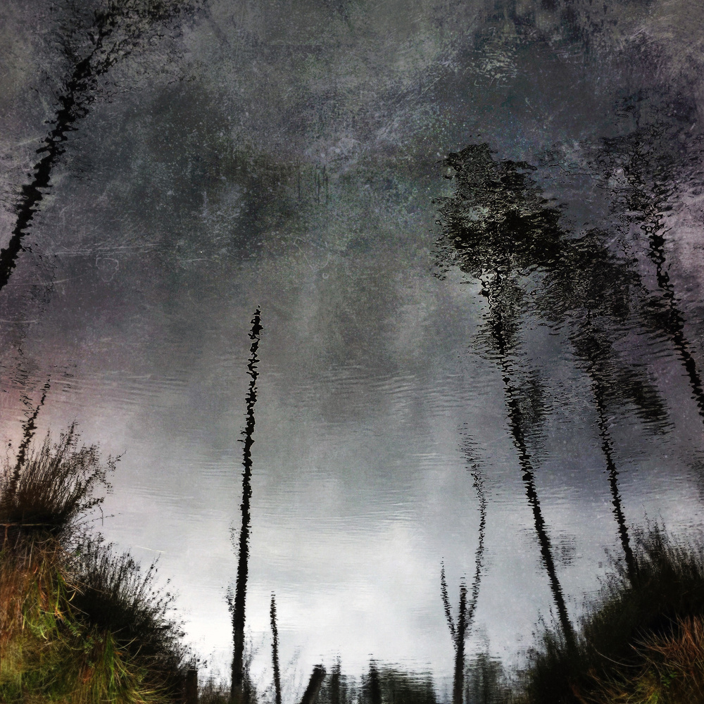 Freeze IV