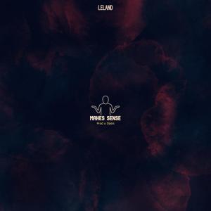 Listen to Makes Sense song with lyrics from Leland