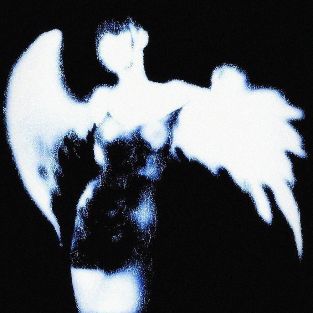 WINGS (Explicit)
