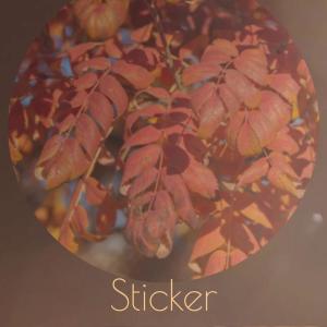 Album Sticker from Various
