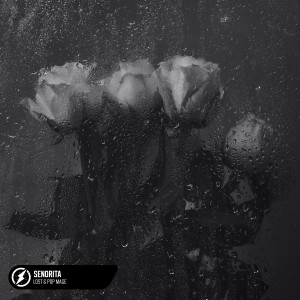 收聽LOST.的Senorita歌詞歌曲