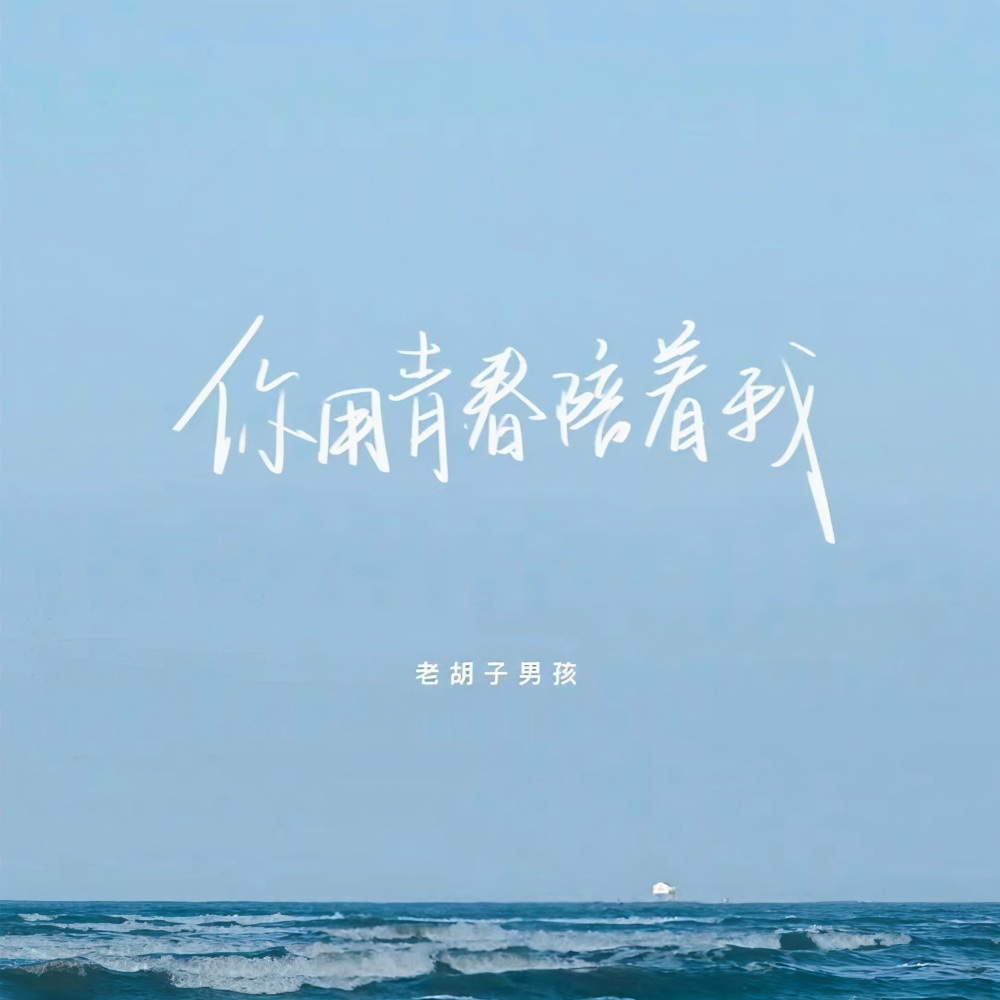 你用青春陪着我 (伴奏)