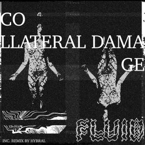 Album COLLATERAL DAMAGE from Fluid