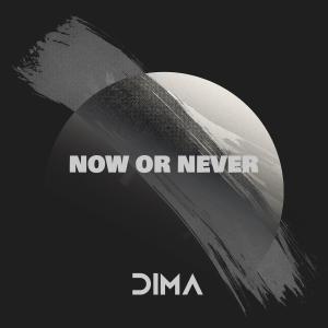 Dima的專輯NOW OR NEVER (Radio Edit)