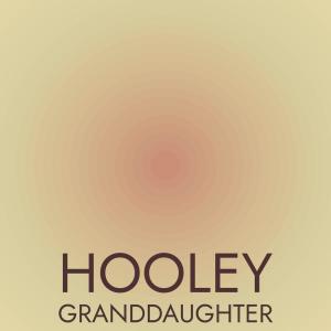Listen to Hooley Granddaughter song with lyrics from Elron Wismith