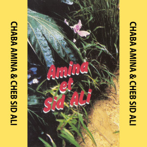 Listen to Sid El Kadi song with lyrics from Cheb Sid Ali