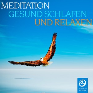 ดาวน์โหลดและฟังเพลง Entspannung พร้อมเนื้อเพลงจาก Mind Honey