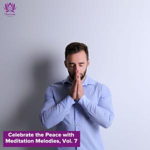 Various Artists的專輯Celebrate the Peace with Meditation Melodies, Vol. 7