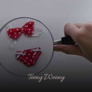 Listen to Teeny Weeny song with lyrics from Jimmy Hart
