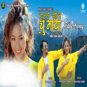 Listen to HALCHHE SOJI CHU MAYA song with lyrics from Bishal Kaltan