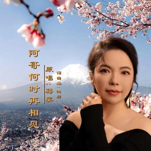 Album 阿哥何时再相见 from 蒋婴