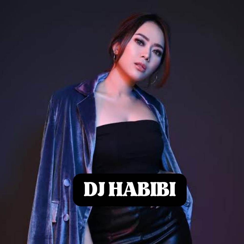 DJ HABIBI