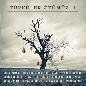 Listen to Rodos Semahı song with lyrics from Ulus Yurtsever