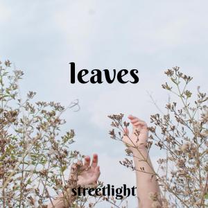 Listen to Leaves(feat. simon cohen del santo) song with lyrics from Streetlight