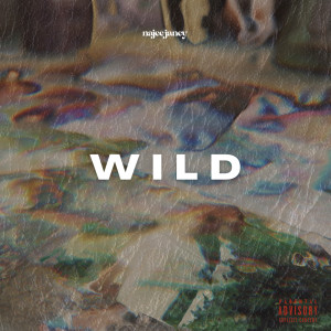 Listen to Wild (Explicit) song with lyrics from Najee Janey