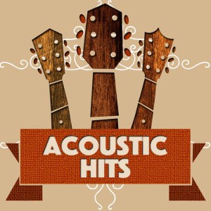 อัลบัม Acoustic Hits ศิลปิน Acoustic Hits
