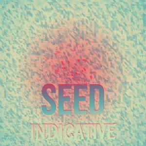 Dengarkan Seed Indicative lagu dari Jaes Fito dengan lirik