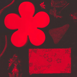 Listen to Red Cheeks song with lyrics from Léon Evangelion