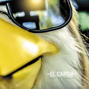 El Capon的专辑Shut up Chicken (Explicit)
