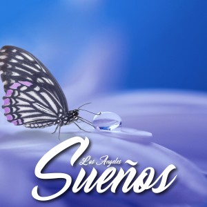 收聽Los Ángeles的Celoso歌詞歌曲