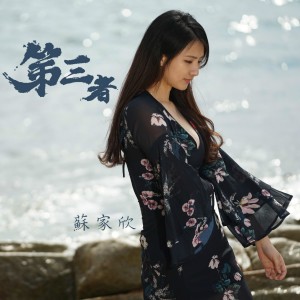 ดาวน์โหลดและฟังเพลง 第三者 พร้อมเนื้อเพลงจาก 苏家欣