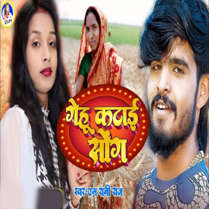 Listen to Gehu Katai Song song with lyrics from M Rani Raj
