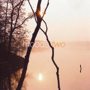 อัลบัม Moods Two ศิลปิน Various Artists