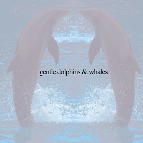 Gentle Dolphins & Whales 10