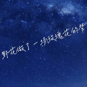 อัลบัม 野花做了一场玫瑰花的梦 (抒情版) ศิลปิน 晚柠