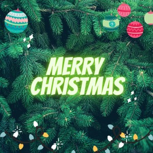 Album Merry Christmas oleh Antony Rain