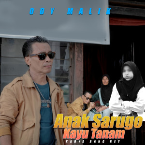 ANAK SARUGO KAYU TANAM dari Odi Malik