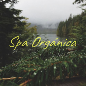 ดาวน์โหลดและฟังเพลง Spa Orgánica พร้อมเนื้อเพลงจาก Spa Relaxation & Spa