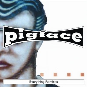 ดาวน์โหลดและฟังเพลง Everything (Else) พร้อมเนื้อเพลงจาก Pigface