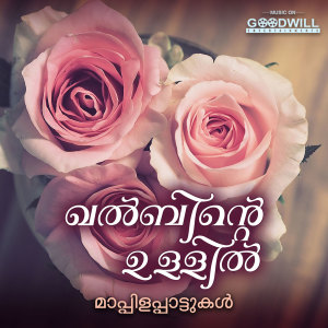 Listen to Karayunnavanodu song with lyrics from Ibrahim Melam