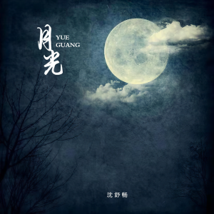 Listen to 月光 song with lyrics from 沈舒畅