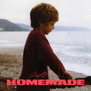 收聽Matthew Chaim的Homemade歌詞歌曲
