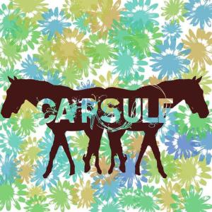 ดาวน์โหลดและฟังเพลง There's Another Word พร้อมเนื้อเพลงจาก Capsule