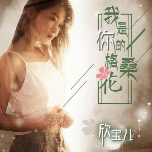收聽欣寶兒的我是你的格桑花 (DJ版)歌詞歌曲