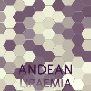 Listen to Andean Lipaemia song with lyrics from Kele Tman