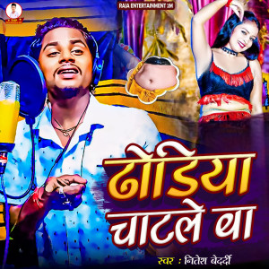 Listen to Dhodiya Chatale Ba song with lyrics from Nitesh Bedardi