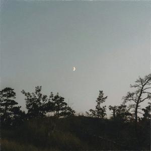 收聽Wilczynski, Mondo Loops的Those Morning Dreams歌詞歌曲