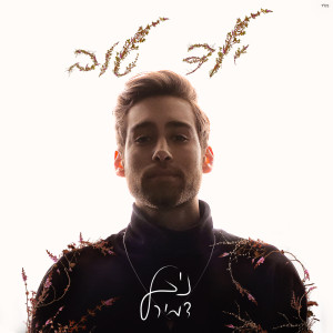 Listen to עדיף הגעגוע song with lyrics from Nofar Salman