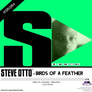 ดาวน์โหลดและฟังเพลง Birds of a Feather พร้อมเนื้อเพลงจาก Steve Otto