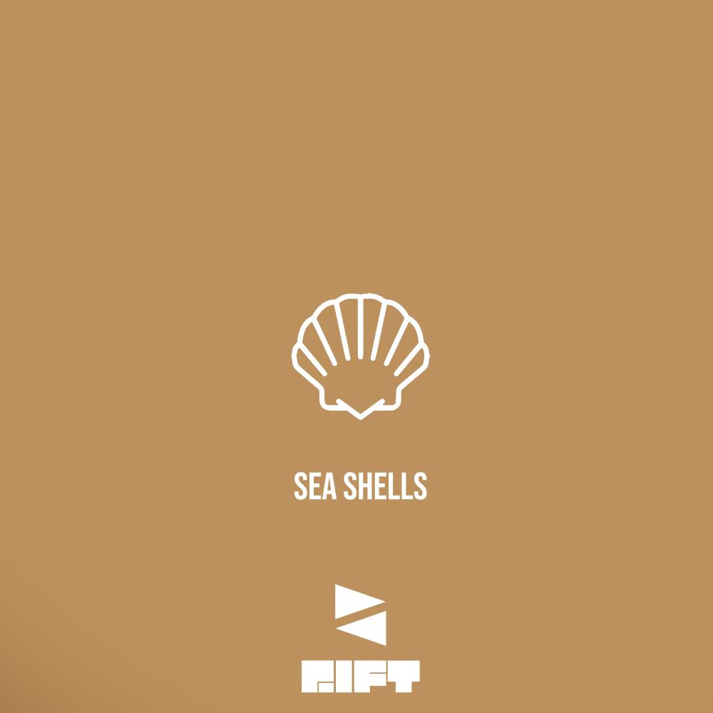 Sea Shells