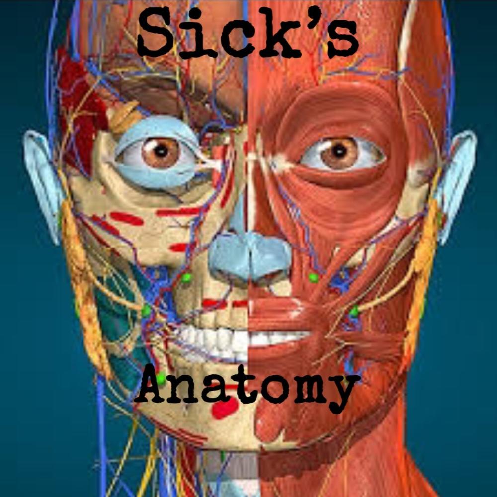 sick's anatomy (Explicit)