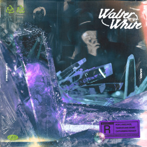Album Walter White (Explicit) from 