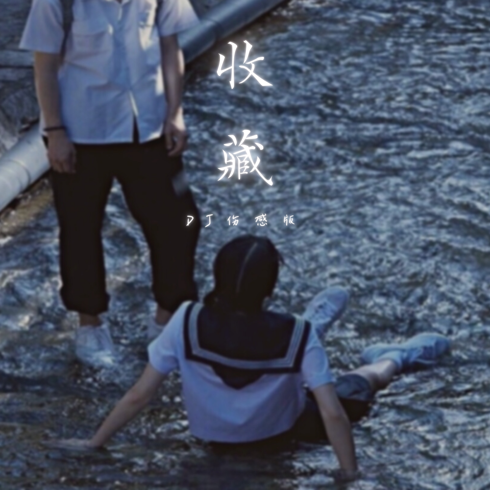 收藏 (DJ伤感版)