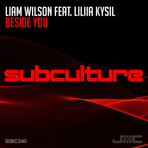 收听Liam Wilson的Beside You (Extended Mix)歌词歌曲