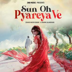 收聽Zohaib Naeem Babar的Sun Oh Pyareya Ve歌詞歌曲