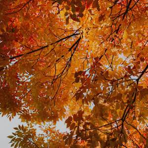 ดาวน์โหลดและฟังเพลง Touch Me Holy Ghost Now (Explicit) พร้อมเนื้อเพลงจาก Nataleesmithjesusgirl